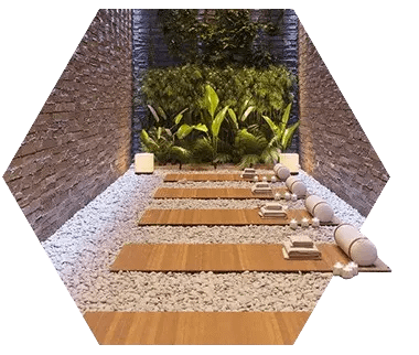 SPA Renovation